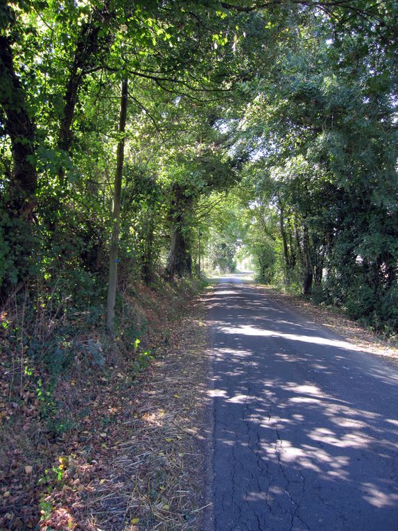 balades à vélo