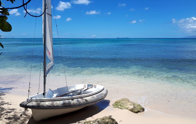 La Guadeloupe en deux temps, trois mouvements. 