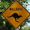 Australie -Episode 1- Nos premiers pas au pays des kangourous…De Darwin au Litchfield National Park. 