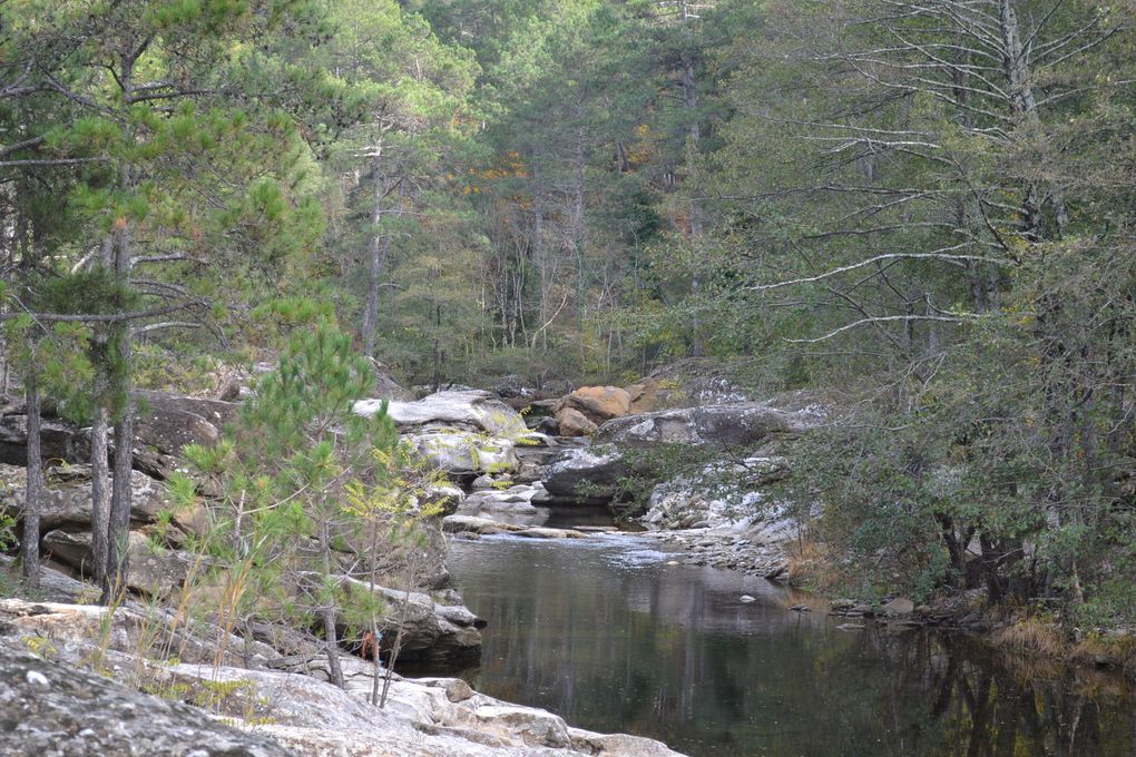 La Collégiale de Bedoues, le parc naturel des Cévennes