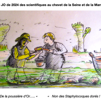 Pour les JO de 2024 des scientifiques au chevet de la Seine et de la Marne