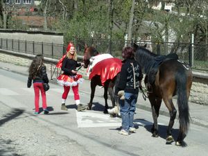 Défilé du Carnaval en 2012 à Algrange (partie 1)