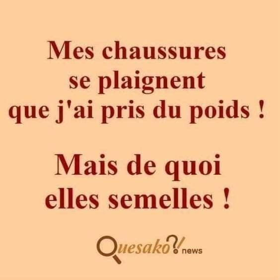 Humour - de Bernard et DD -1