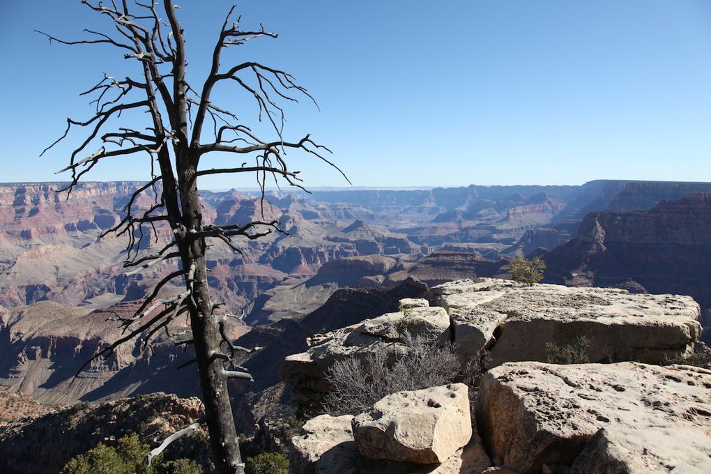 The road trip - Grand Canyon
