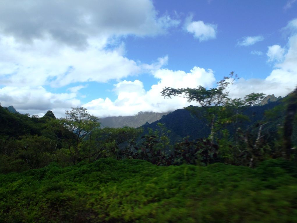 Ballade au creux de la vallée de Tahiti, jusqu'au sommet (ou presque...) dans le cœur de l'île !