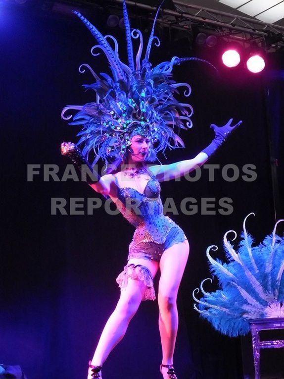 Album - SALON-EROPOLIS-RENNES-2014