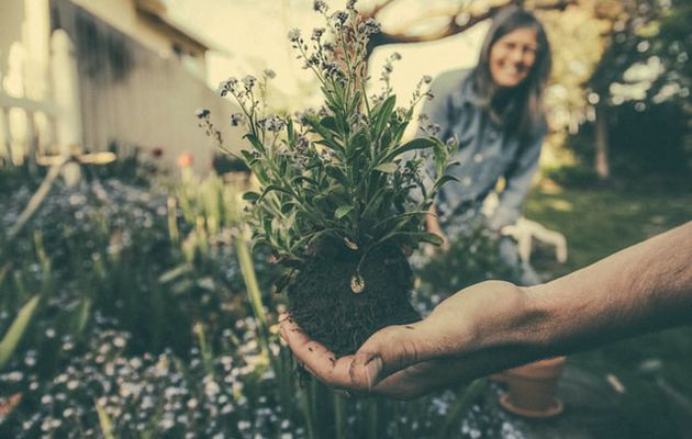 Retour sur la 23ème séance - Jardinage