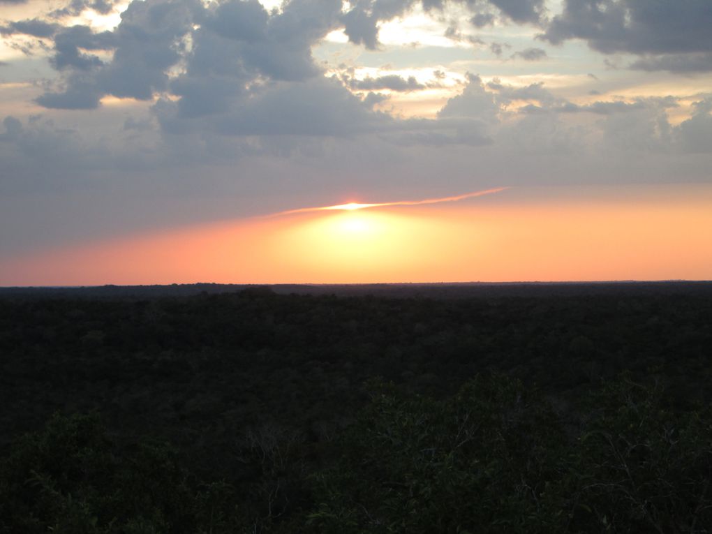 Album - coban-flores-tikal