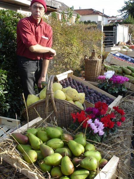 Journée d'activités autour de la pomme et des produits du terroir 