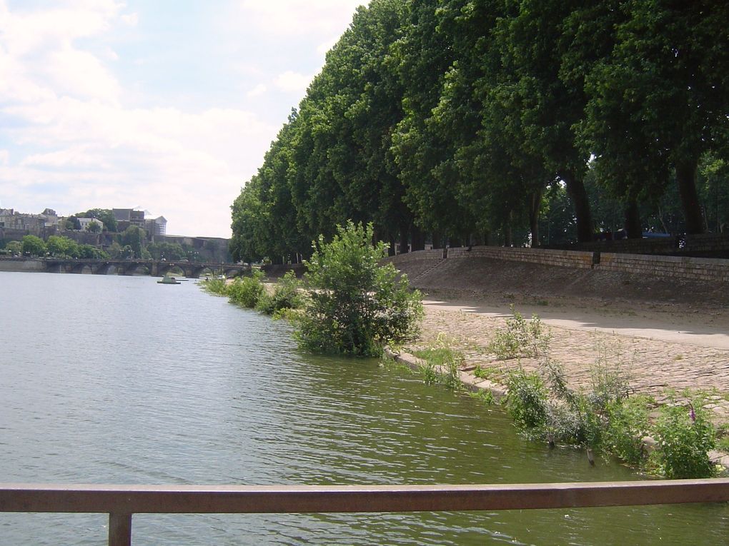 Montrer en photos la beauté des paysages de la rivière "Maine" à Angers