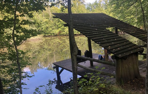 Randonnée de Bussy-Saint-Georges à Gretz-Armainvilliers - 16 km.