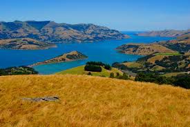 #Pinot Blanc Producers Canterbury Vineyards New Zealand