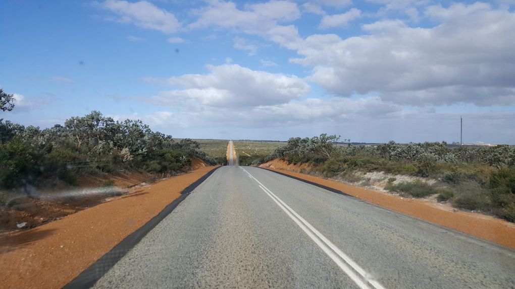 Wave Rock et le retour à Perth