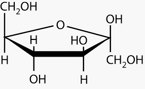 Structore chimique du fructose et du saccharose. On remarque bien le cycle caractéristique à 5 carbones du fructose.