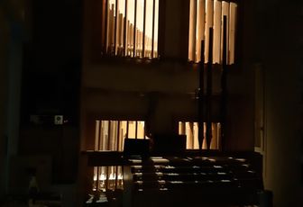 Eclosion de l'orgue