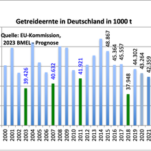 La récolte des céréales en Allemagne : une loterie et des problèmes de qualité