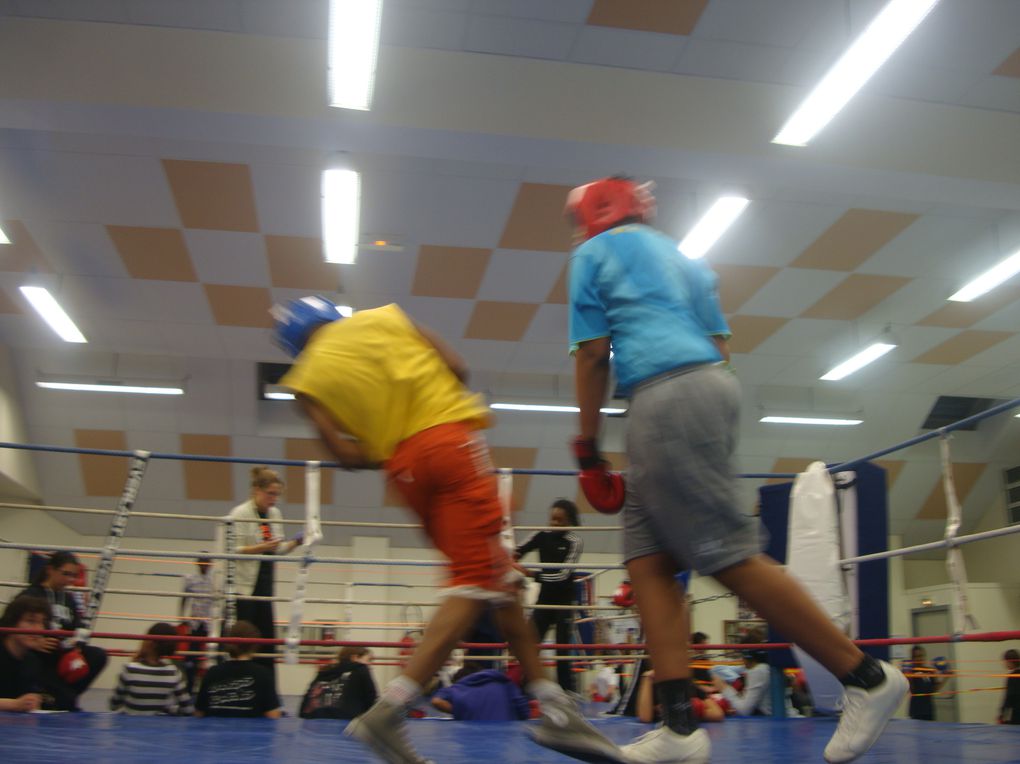 Photos des compétitions, entraînements de Boxe