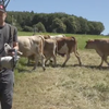 Constat d'échec pour la réduction des pesticides