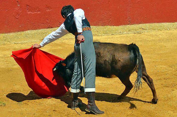 Album - Ganaderia-Los-Manos