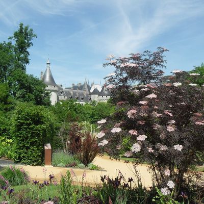 FESTIVAL des JARDINS de CHAUMONT-sur-LOIRE