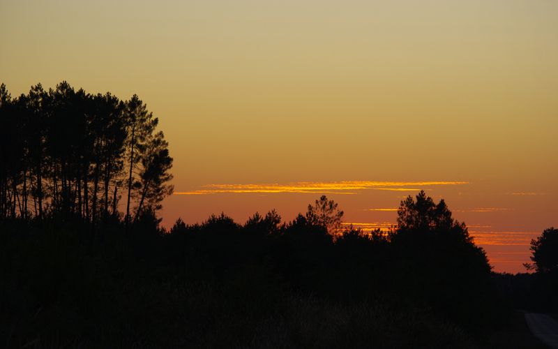 Les landes au soleil couchant