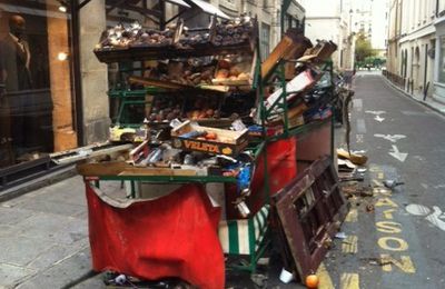 pendant ce temps dans le marais..