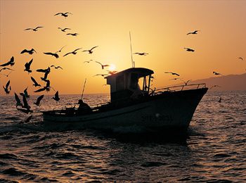Pêche sportive à Ténérife