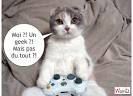 chat geek 2