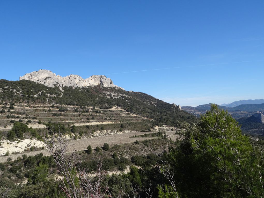 Le Tour des Dentelles de Montmirail à VTT (84) le 22/02/2020