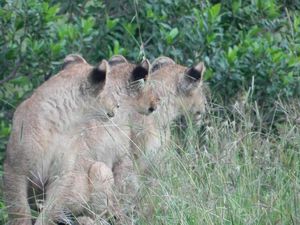 Me &amp; My Camera: Pieces of Kenya