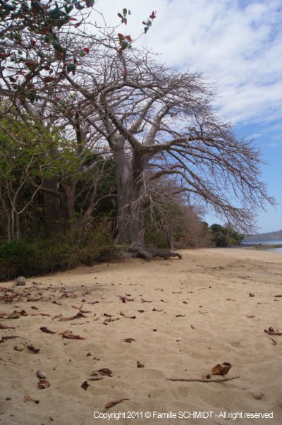 Vous visiterez sous ce dossier tous les villages et les belles plages de Mayotte