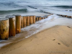 Autour du Cap Ferret : Visions rapprochées