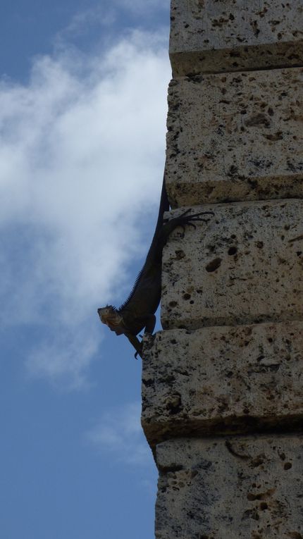 Journée à Petite Terre