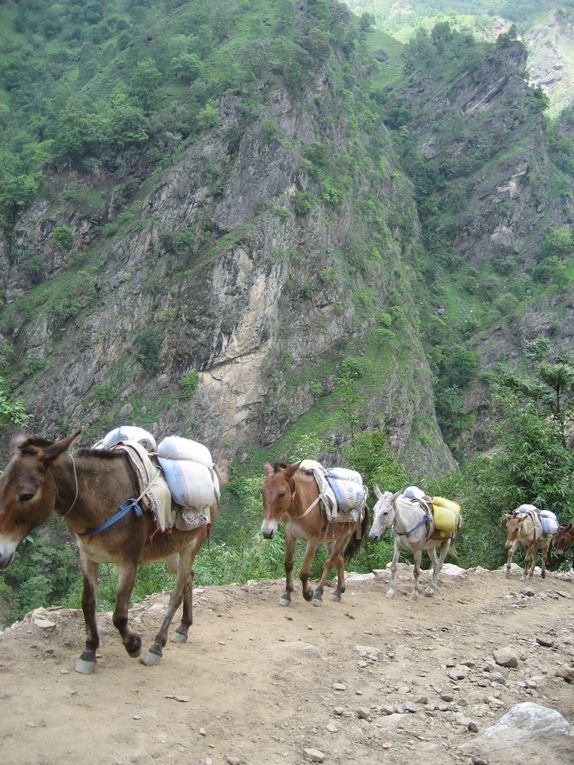 Album - Nepal, trek 1