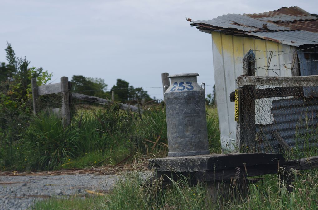 Album - 036 ) ILE DE CHILOE