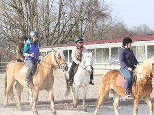 Premier jour au Haras de la Née : pour rentrer dans le vif du sujet, rien de tel qu'une sortie équestre et qui plus est, originale ! Les élèves avaient le choix entre un tour en calèche ou monter à cheval.