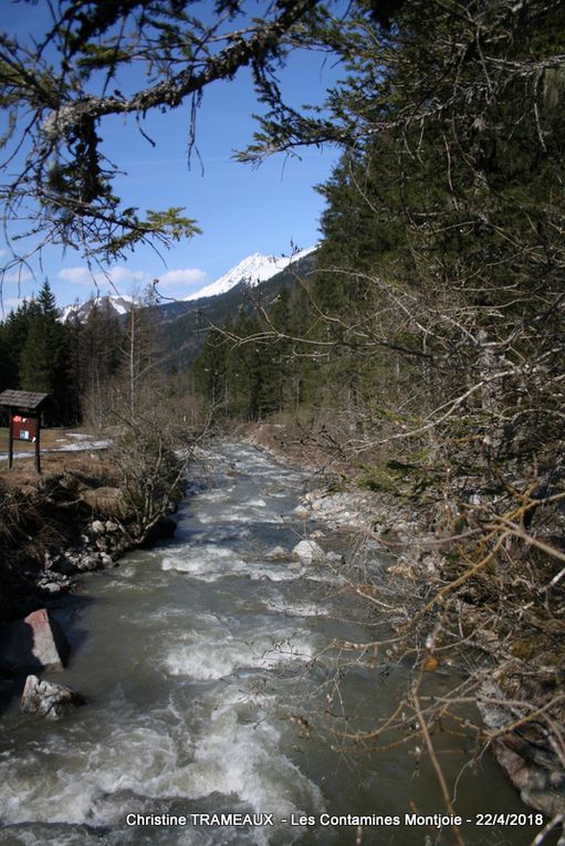 Petite journée en Vallée de Chamonix : Chamonix - Le Tour - Les Houches et un crochet au retour par Les Contamines Montjoie