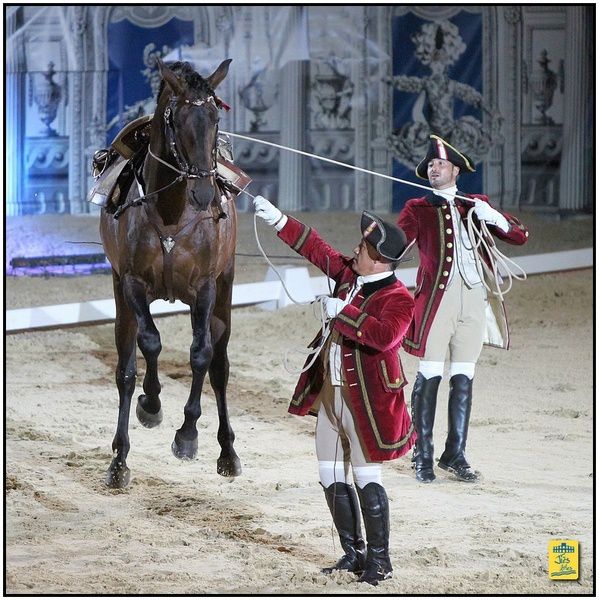 Arènes d'arles - Nuits de l'Art Equestre - 16 et 17 août 2013 L'Ecole Portugaise d'Art Equestre de Lisbonne