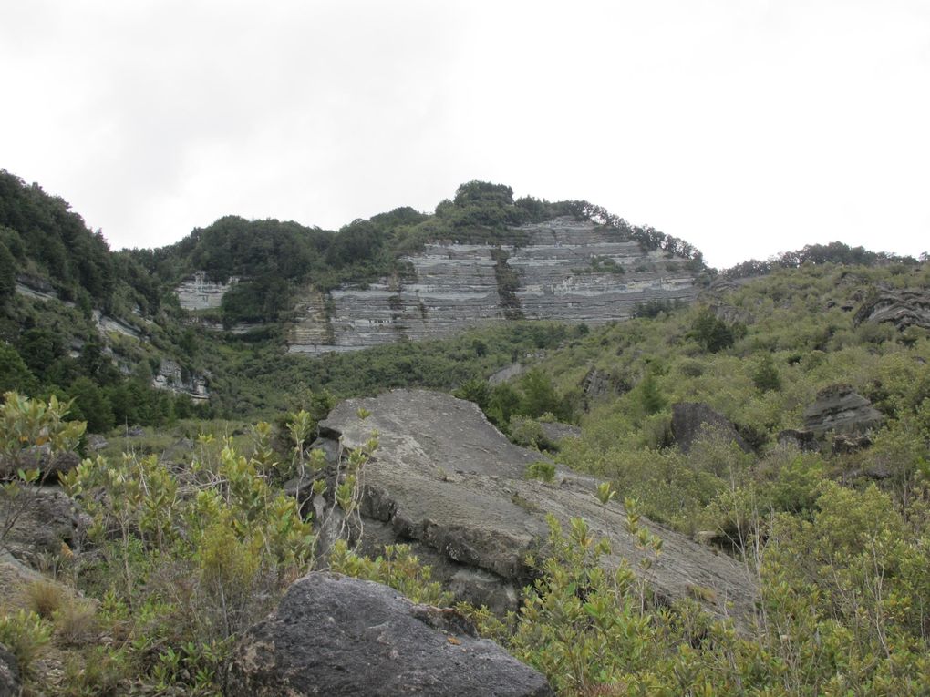 Album - Top South Island