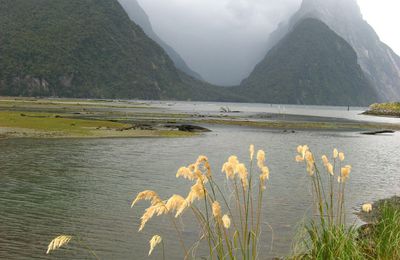 Milford Sounds : attention les yeux !