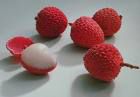 Le litchi