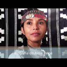 Amérique du sud - La chanteuse Olga Painé, la voix du peuple mapuche