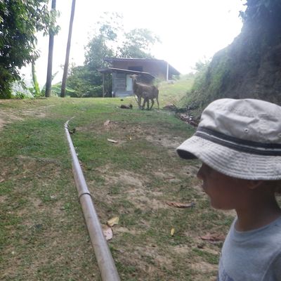 Last day to CHARLOTT...