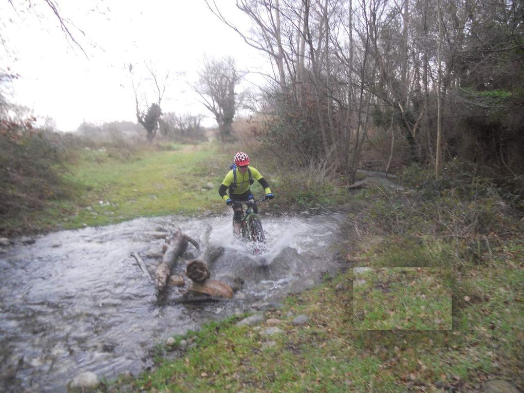 Samedi 11 Février, Flèche bleue à Millas