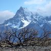 Chili - Patagonie - Torres del Paine