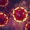 Le monde tombe dans la psychose du Coronavirus, conséquences: on tour(ne) en rond ...