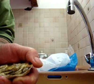 Ouvrir des huîtres assez  facilement - VIDEO 