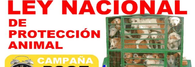 Nuevo Codigo Penal .... Nouveau Code Pénal ....