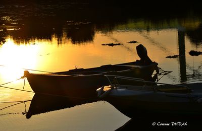 Dans le silence des reflets