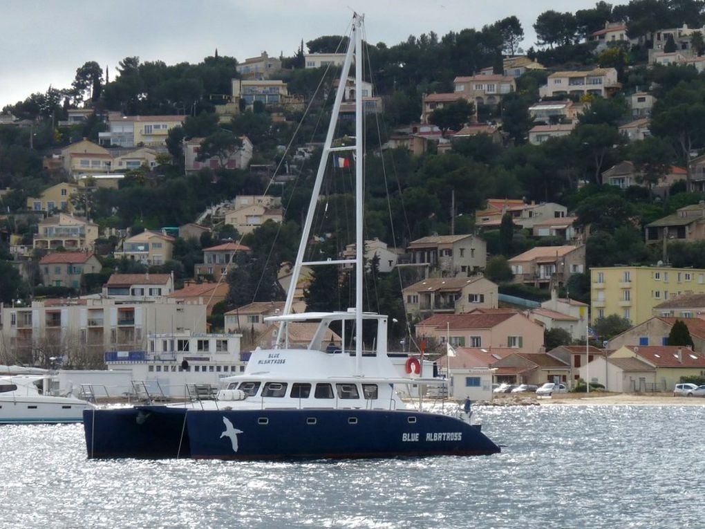 BLUE ALBATROSS , dans l'avant port de Saint Mandrier